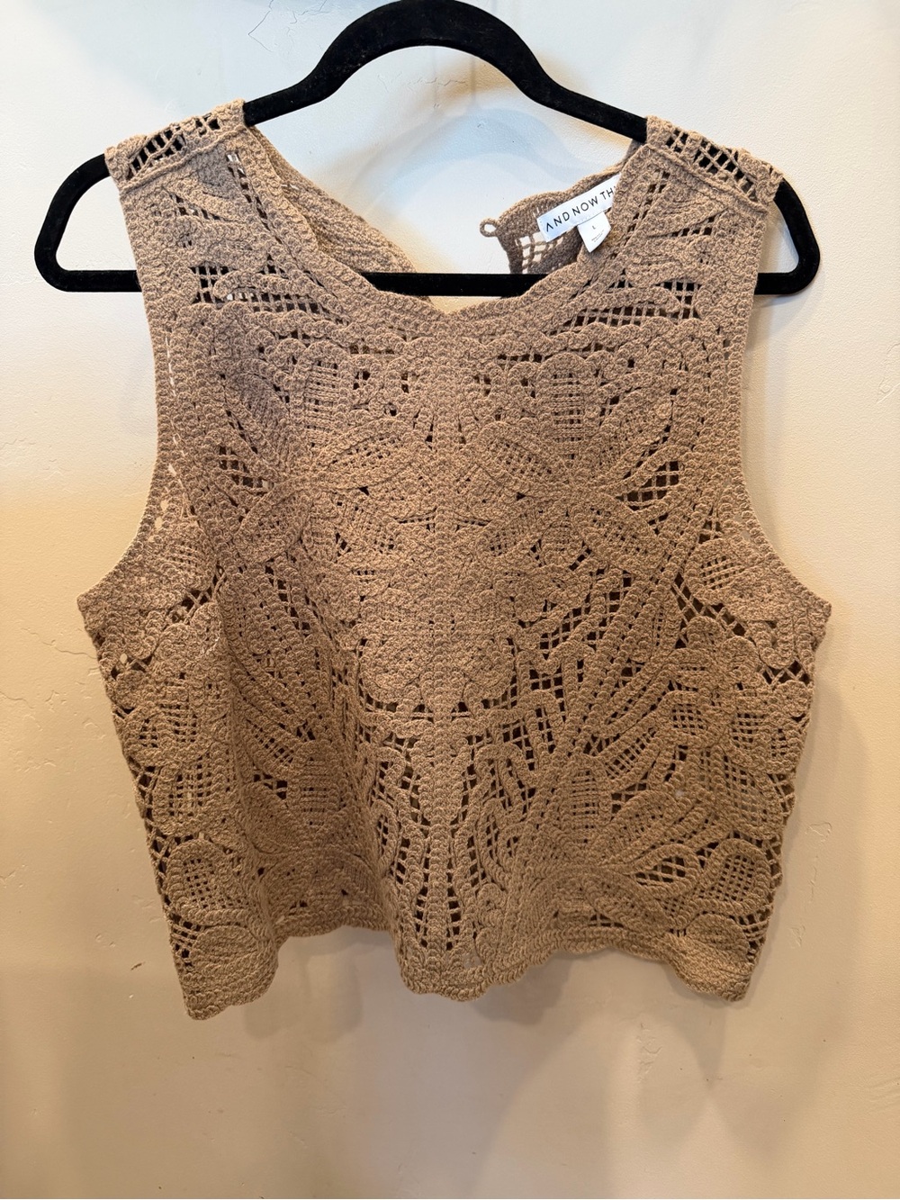 AND/OR The Label Taupe Crochet Sleeveless Crop Tank